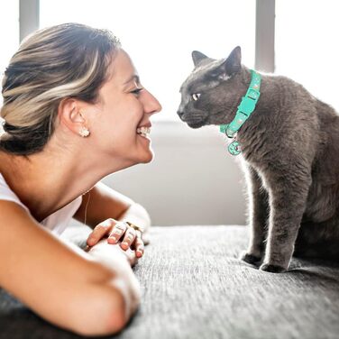 Нашийники для котів з роздільною застібкою, регульовані, з дзвіночком, чорний + синій, 2 шт., 20.3 - 33.3 см