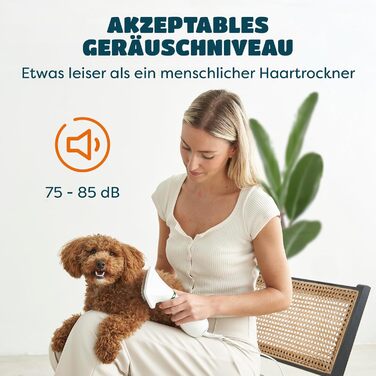 Фен для собак та котів 2-в-1 з щіткою | 300W, регулювання температури, нержавіюча сталь