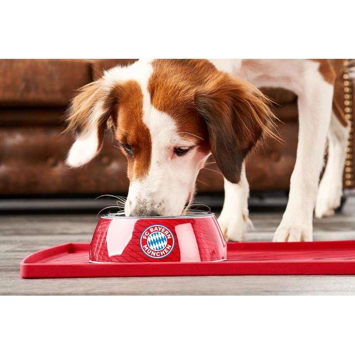 Набір для їжі та води Hunter FC Bayern München з меламіну, 350 мл, червоний