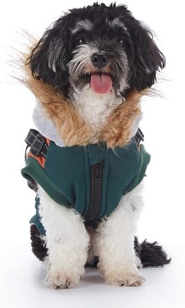 Теплий зимовий одяг для собак: водонепроникна куртка-худі для маленьких та середніх собак з світловідбиваючим дзеркалом (зелений, S)