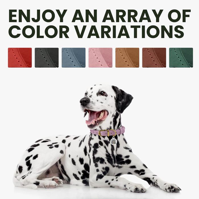 Нашийник для собак BRONZEDOG з м'якої шкіри з QR-ID, регульований, для малих, середніх та великих собак, кошенят (Смарагдовий, 40-48 см)