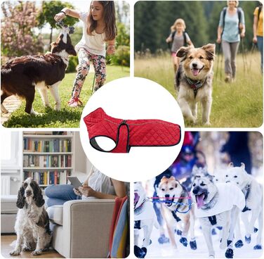 Зимовий теплий одяг для собак - Вітростійка жилетка-світловідбивач для собак, теплий зимовий одяг для собак | Для активного відпочинку: прогулянки, пікніки, кемпінг, катання на лижах, міські прогулянки