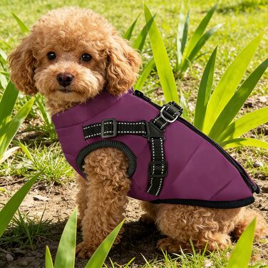 Водонепроникний собачий плащ з ніжками, теплий зимовий плащ для собак, куртка для собак з отвором для шлейки, середній розмір (Lila M)