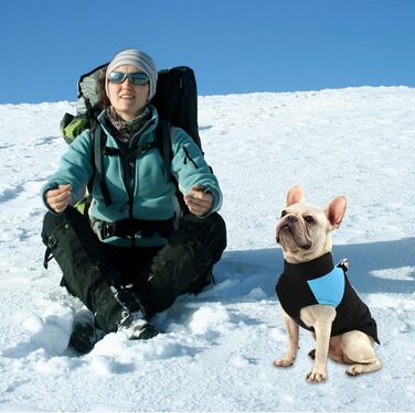 WELLXUNK Теплий водонепроникний дощовик для собак, куртка для маленьких та великих собак (блакитний, 83 см, L)