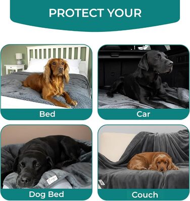 Водонепроникний плед для собак великих порід - м'який фліс, миючий накид для тварин на диван, авто, ліжко та захист меблів, двосторонній плед, 100 x 120 см, Сірий/Сірий (XX-Large (152 x 200 см), Сірий Sherpa/Сірий фланель)