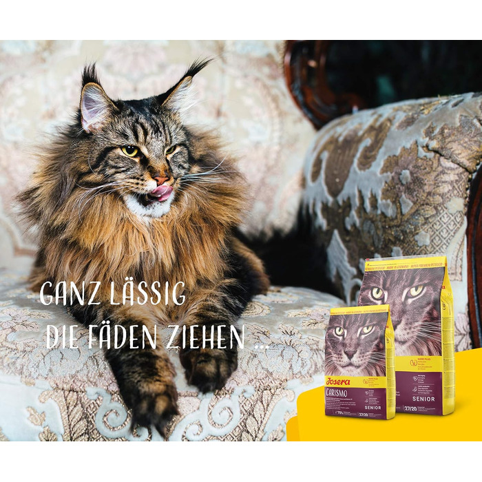 Сухий корм для літніх котів JOSERA Senior, без пшениці, 10 кг