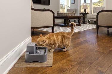 Автоматичний фонтан для води PetSafe Drinkwell 1,8 л, для котів і малих собак, з фільтром, легке очищення