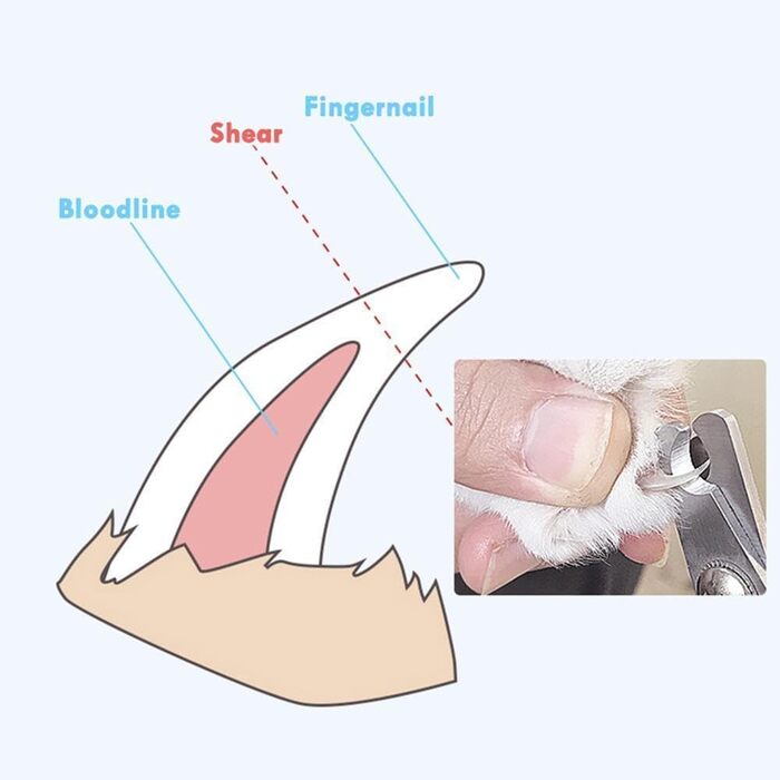 Кусачки для обрізання кігтів собак та котів, нержавіюча сталь, професійний інструмент для грумінгу з захистом від перерізання, гостра клинка