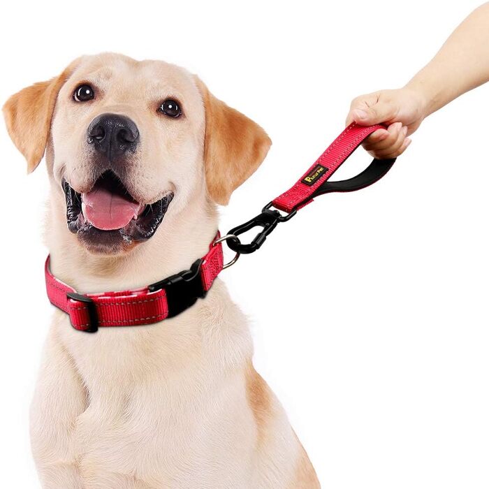 PLUTUS PET короткий повідок для собак 25,4 см, з м’якою нейлоновою ручкою, міцний поводок з карабіном, для великих і середніх собак, червоний