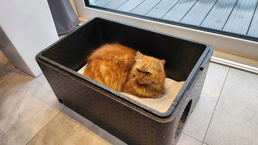 Великий будинок для кота Piocelan, міцна тепла будка 60x40x30 см