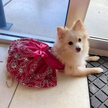 Сукня-тьюль для собак та котів DELIFUR: сукня-принцеса для святкування дня народження (Червоний, M)