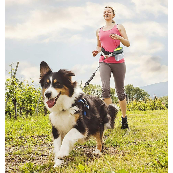 Сумка для ласощів для собак Hanwell з дозатором для прибирального інвентарю, водонепроникна, сіра