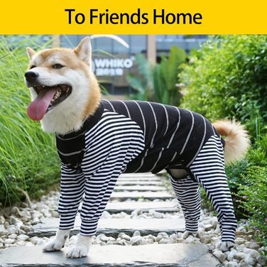 Піжама для собак після операції, комбінезон з довгим рукавом, чорний, для захисту рани, альтернатива комірцю (M, 1 шт.)