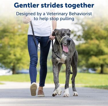 Нашийник для дресирування PetSafe Sanfter Führer, фіолетовий, Medium (упаковка 1)