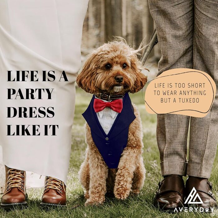 Елегантний собачий смокінг для весілля та ювілею, стильний набір для фотосесій та свят, синій смокінг з червоною краваткою (L, Neck 16.5-20.5 дюймів)