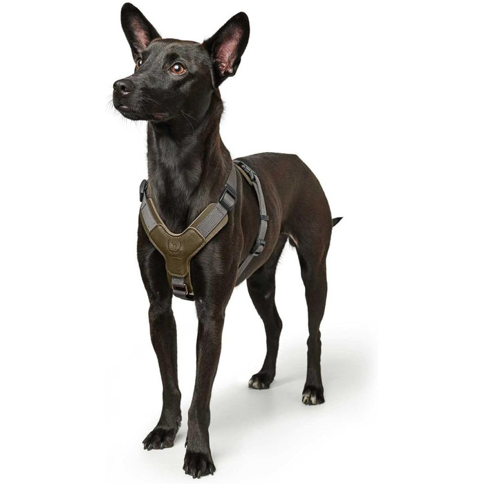 Нашийник для собак HUNTER AALBORG IXED, оливково-сірий, розмір M-L, з натуральної шкіри та нейлону, 5-рівневе регулювання, легкий, з пластиковими застібками, зроблене в Німеччині