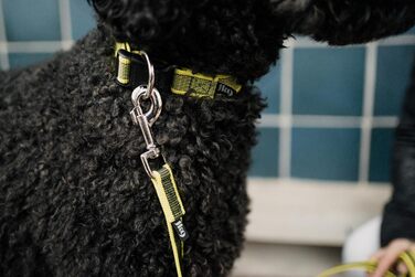 Нашийник Julius K9 200HA-K-2015 серії Color & Gray, чорно-сірий, регульований, 50 мм, 49-70 см (без ручки)