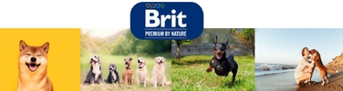 Сухий корм для собак BRIT Premium By Nature Sensitive Ягня, 15 кг
