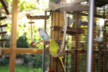 Канат для птахів із корка Vogelgaleria, іграшка для хвилястих папуг і корел, аксесуар для клітки