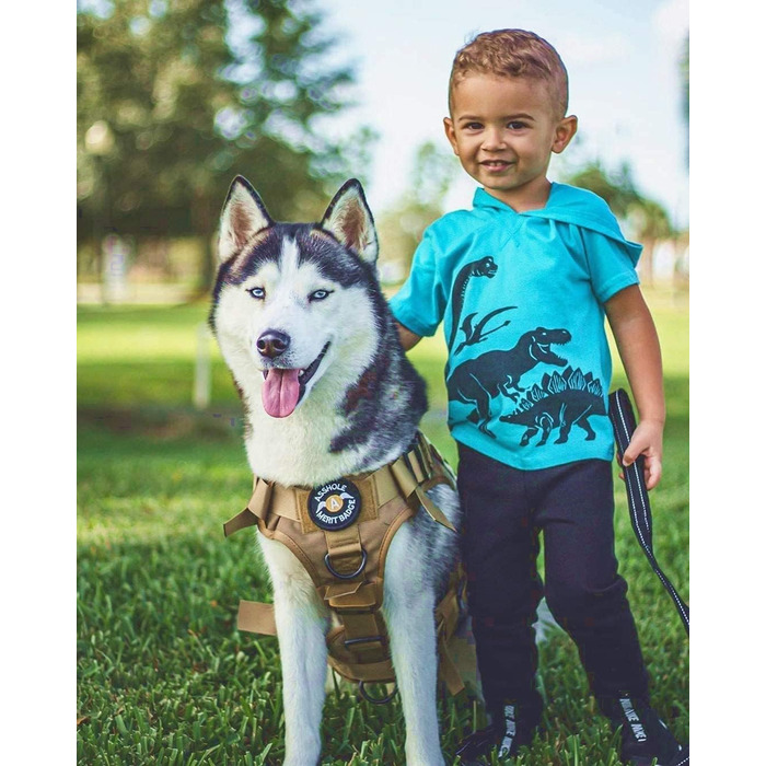 Шлейка для собак Rabbitgoo для великих собак без натягу, тактична нагрудна шлейка з MOLLE, металеві пряжки, дихаюча, військова, регульована, з підкладкою, L (1 шт., коричнева)