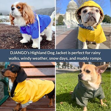 Водонепроникна куртка для собак DJANGO Highland, рожева, розмір L, з капюшоном, для маленьких та середніх собак, з отвором для шлейки, зручна підкладка та кишеня на спині