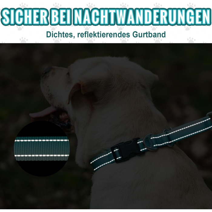 Відбиваюче нашийник для собак Martinage, нашийник-стоп для собак великих, середніх та малих порід, нашийник-стоп для Whippet, Greyhound, Saluki (Турквіс, S)