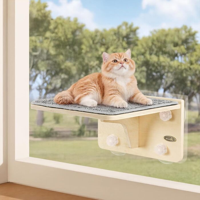 Pecute Котяча стінка 2-в-1 для стіни та скла, котяча полиця з миючим знімним фетровим покриттям, лежак на вікно з потужними присосками для котів і кошенят (S)