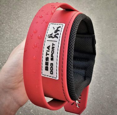 Нашийник Bestia Dog Sport з ручкою для собак, міцний
