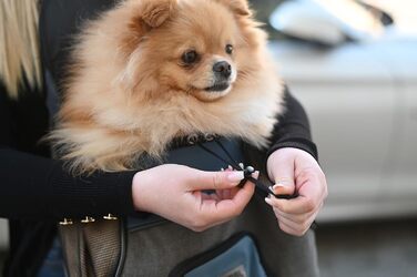 Переноска для тварин Kerbl Vacation Fronttasche, сіра/блакитна, 31x24x38 см