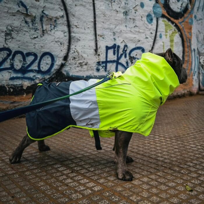 Spark Paws водонепроникний дощовик для собак 3XL, неоново-білий/синій, вітрозахисний, світловідбивний, дихаючий, повний захист тіла, для малих, середніх, великих і дуже великих порід