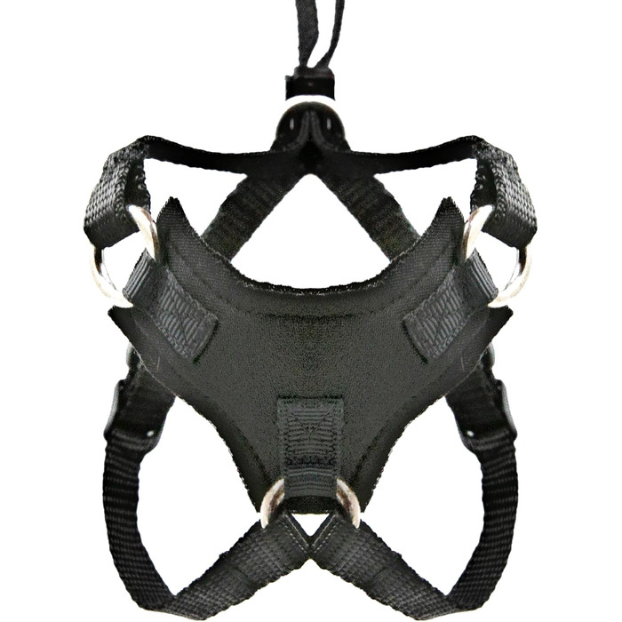 Шлейка та поводок Houdini™ для котів, набір для прогулянок Bengal, розмір M, м'яка сітчаста тканина