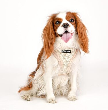 Шлейка для собак Пуппія Hepatica A, бежева, L - регульована та комфортна