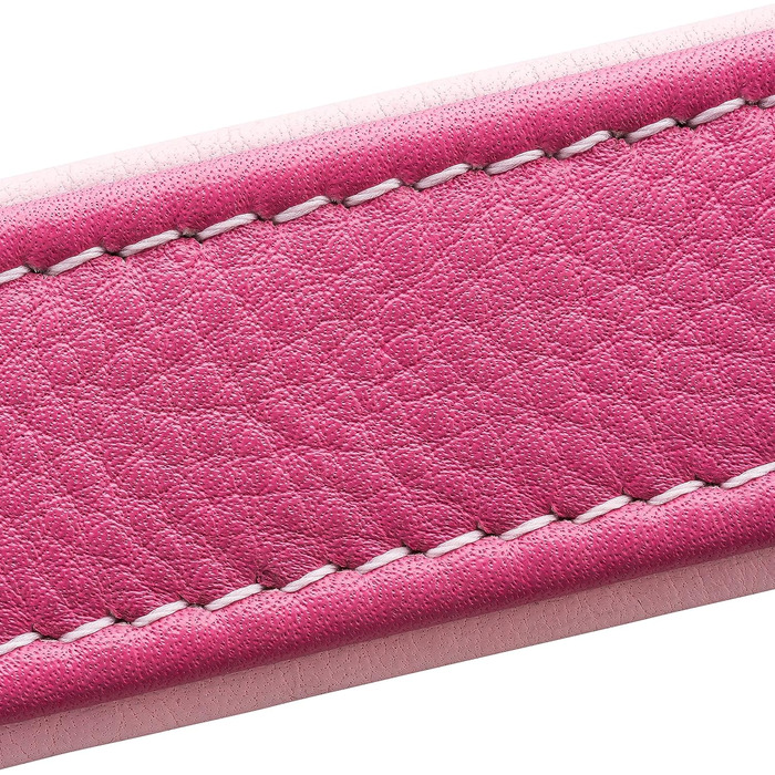 Шкіряне нашийник для собак Fun Line - великий, середній та маленький, з підкладкою, міцний (28-36 см, блакитно-коричневий)