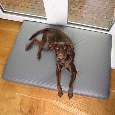 Ваше ліжко для собак GEAR Biella ортопедичне, з екошкіри, миється, для суглобів, високий рівень комфорту (160x100x10 см)