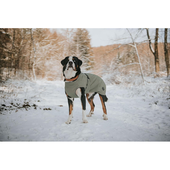 Водонепроникний теплий дощовик для собак Hunter Uppsala, хакі, 2в1 знімний підкладка, розмір 30