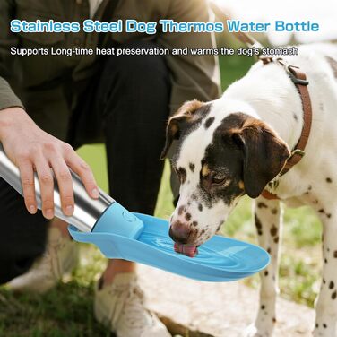 Водяна пляшка для собак на прогулянці - витокозахисна, з нержавіючої сталі, подвійні стінки, вакуумна ізоляція, 750 мл (Блакитна)