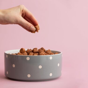 Миска для собак Mason Cash, з рельєфним декором, 18 см, сіра (1 шт.)