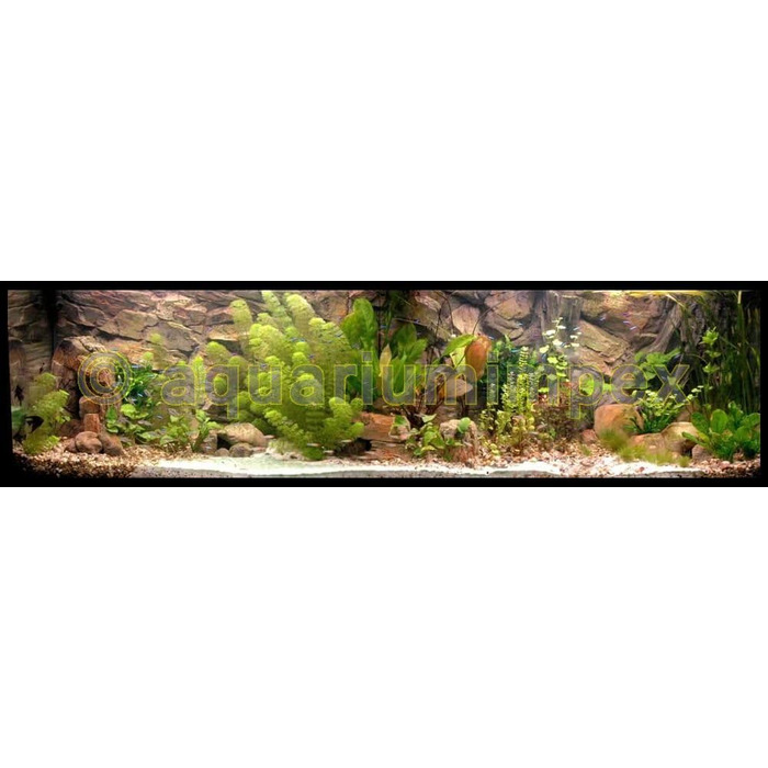 3D фонове оформлення для акваріума 150x50 см Root, 2 частини