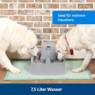 Автоматичний поїльник PetSafe Drinkwell 7,5 л для собак і котів, подвійна фільтрація, BPA-вільний пластик, сірий
