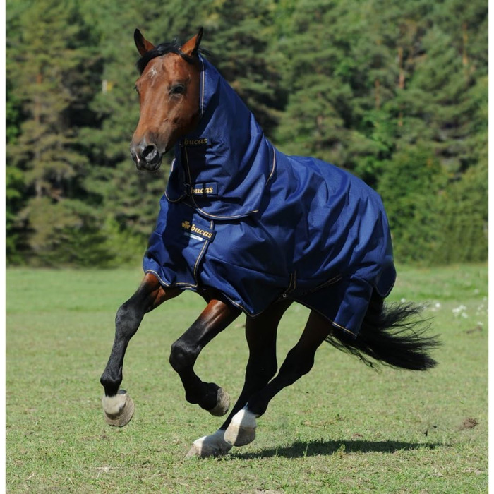 Зимова кінська попона Bucas Irish Turnout 300 г, navy/gold, Rip-Stop, Silk-feel