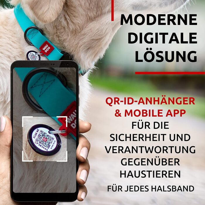 Водонепроникний нашийник для собак WAUDOG: великі, середні та малі породи, регульований, металевий замок, 31-49 см, ширина 25 мм, світловідбиваючий