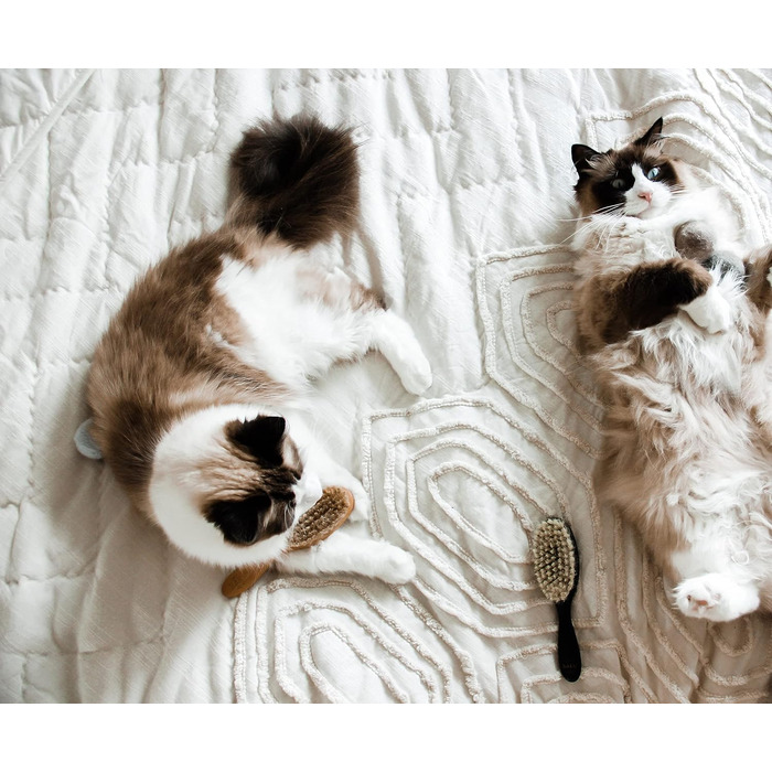 Щітка для котів LucyBalu® для короткої та довгої шерсті | Щітка для вичісування шерсті котів | Щітка для підшерстка котів | Гребінець для котів для догляду за шерстю | Щітка для шерсті тварин | Щітка для котів з щетиною та дерев'яною ручкою білого кольору