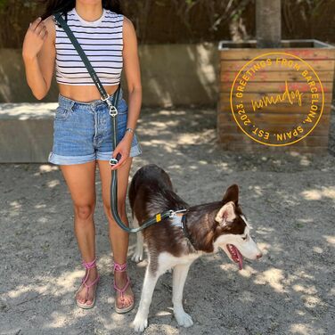 Нашийник для собак Nomadog Trailblazer з ручкою для великих собак - преміум алюмінієва застібка, міцний тактичний нашийник, регульований, з підкладкою, світловідбиваючий (L)