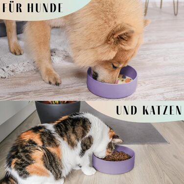 Миска для собак ne&no® Silikon 1200 мл з кришкою для маленьких та середніх собак | Безпечна для холодильника, не ковзає | Набір мисок для собак: миска та кришка (холодна фіолетова)