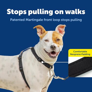 Шлейка для собак PetSafe 3в1, регульована, протитягальна, чорна, середній розмір (упаковка з 1 шт.)