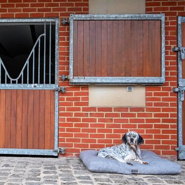 Ортопедична подушка для собак, велика, сіра, з ефектом пам'яті, водонепроникна, для суглобів, машинного прання