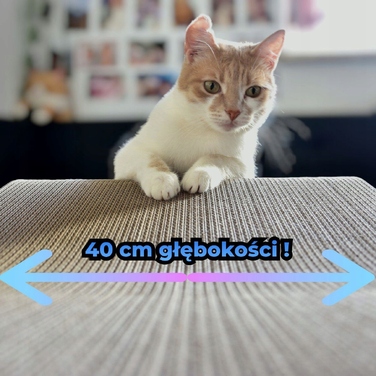 Низька картонна дряпалка для котів великих порід Mruu&Pruu, чорна, 78x40 см