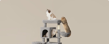 Високий когтеточка-комплекс Feandrea: ігровий центр з лежаком та стовпчиком для кігтів, 161 - 220 см