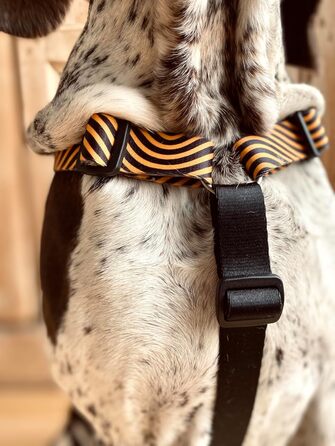 Шлейка для собак MORSO® H, 5-точкове регулювання, жовто-оранжевий/чорний, розмір M