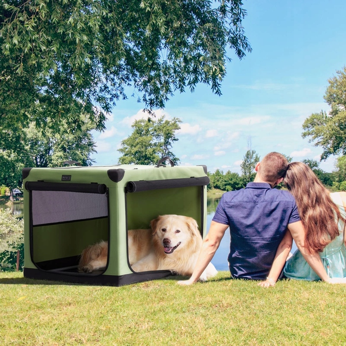Складаний переноска-транспортер для собак PETSFIT, зелений, розмір L